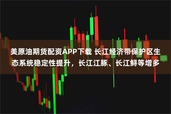 美原油期货配资APP下载 长江经济带保护区生态系统稳定性提升，长江江豚、长江鲟等增多