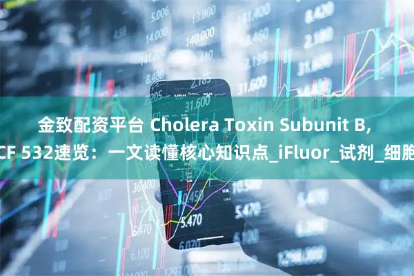 金致配资平台 Cholera Toxin Subunit B, CF 532速览：一文读懂核心知识点_iFluor_试剂_细胞